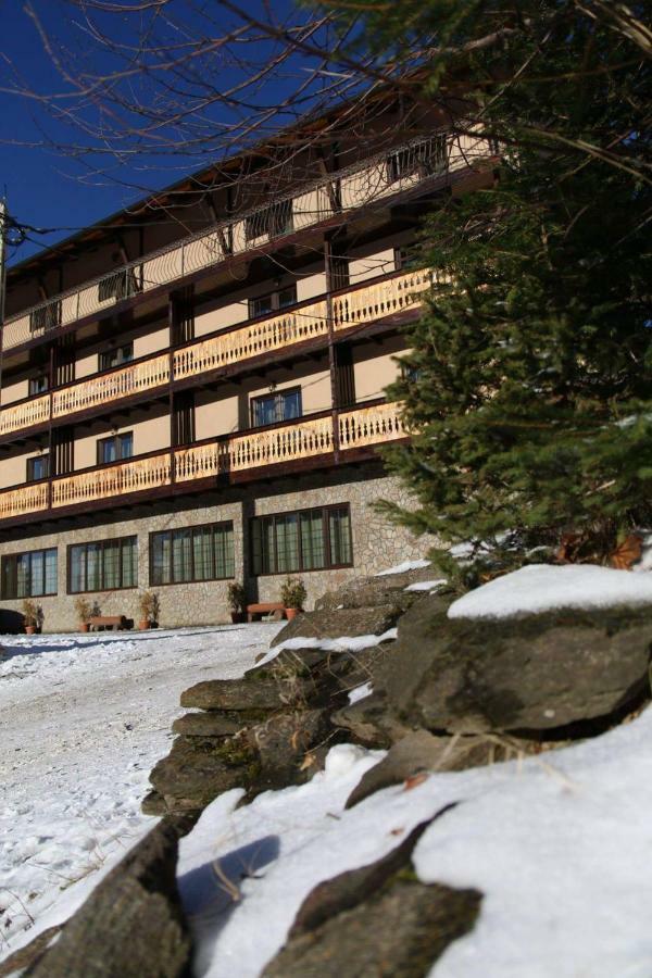 Vila Creasta Cocosului Păltiniş Esterno foto